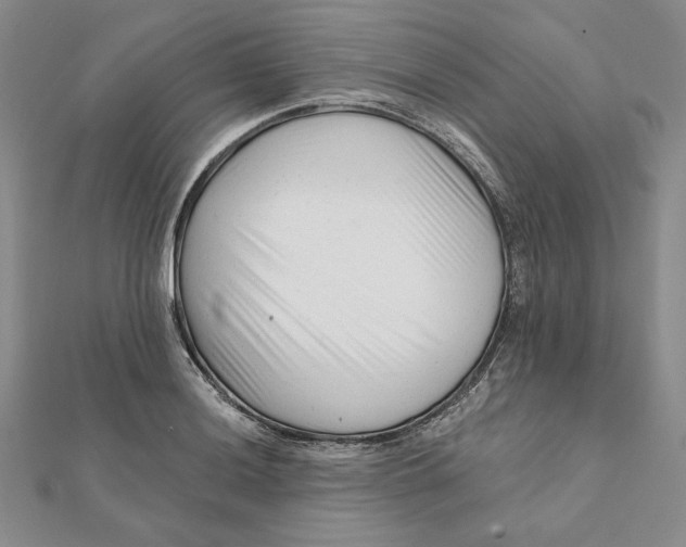 X0000112061036200908251016