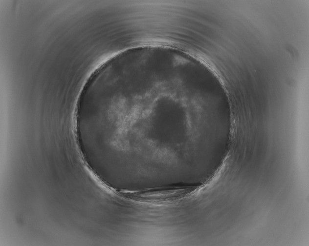 X0000112061037200908251016