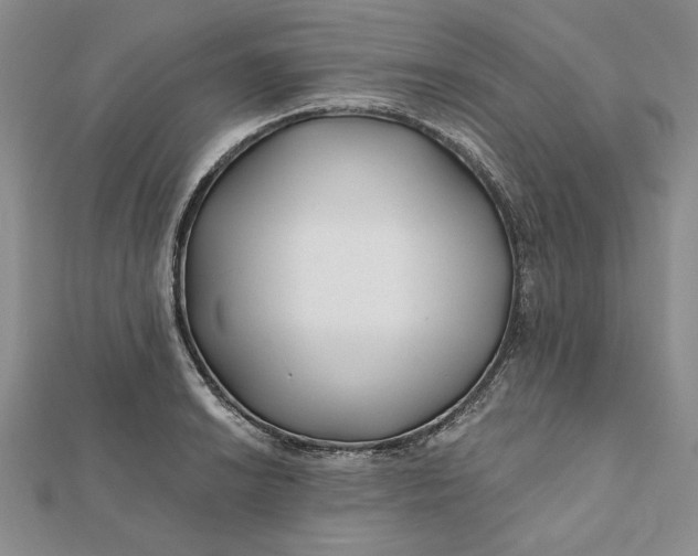 X0000112061038200908251016