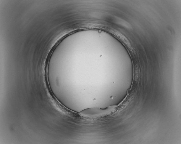 X0000112061039200908251016