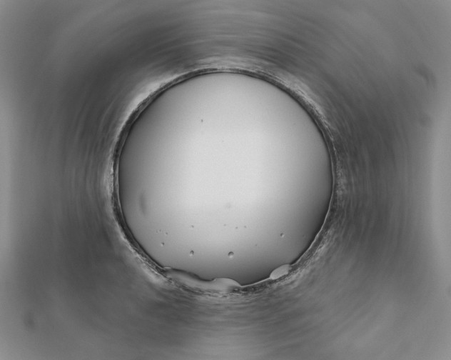 X0000112061040200908251016