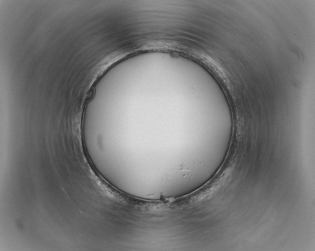 X0000112061041200908251016