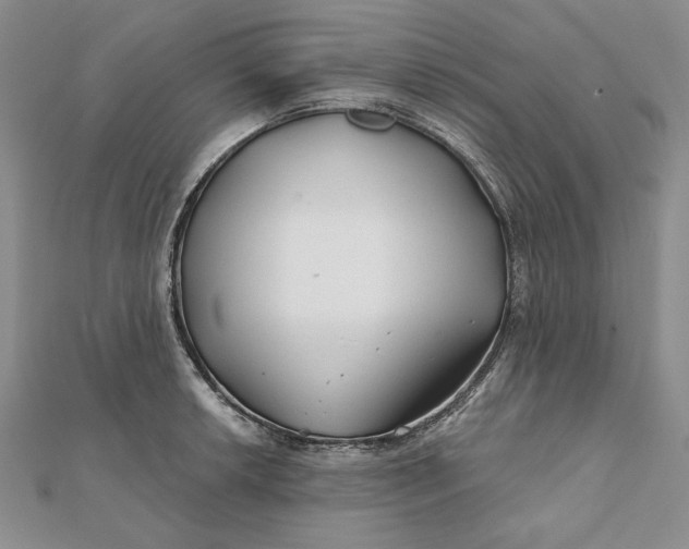 X0000112061042200908251016