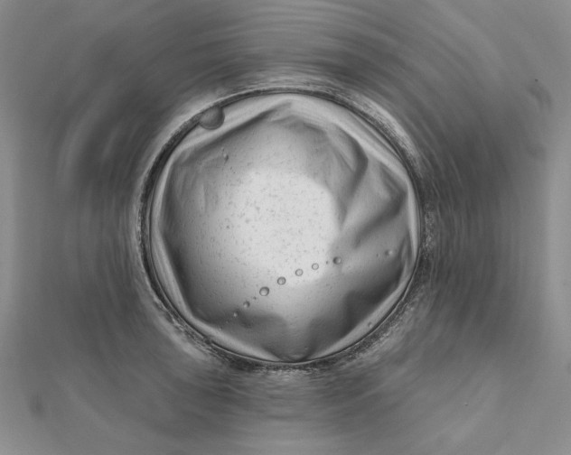 X0000112061043200908251016