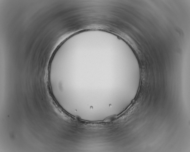 X0000112061044200908251016