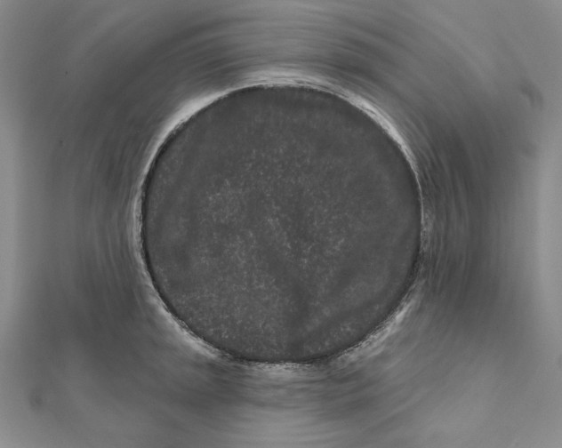 X0000112061045200908251016