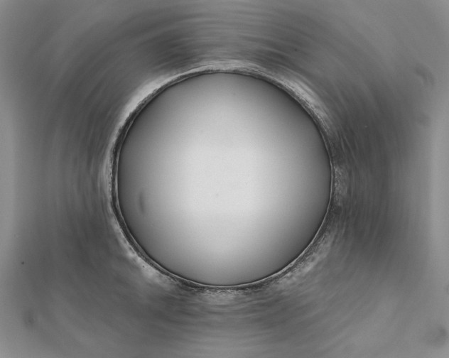 X0000112061046200908251016