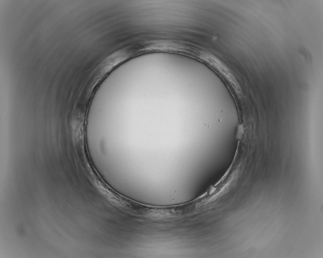 X0000112061049200908251016