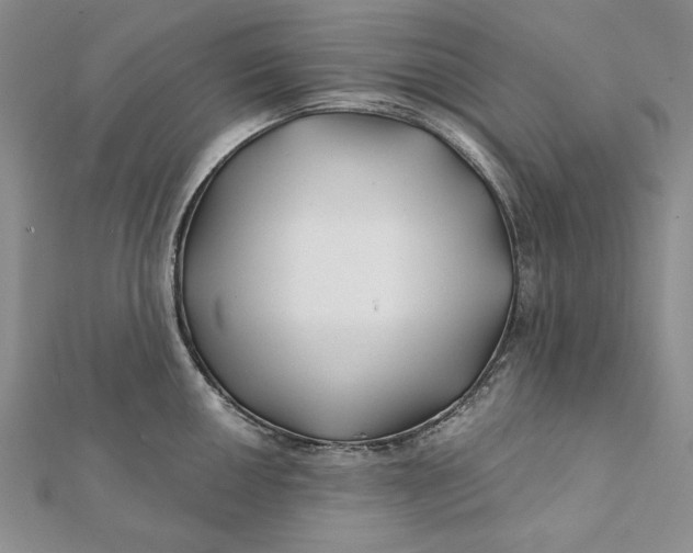 X0000112061050200908251016