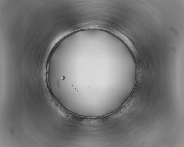 X0000112061051200908251016