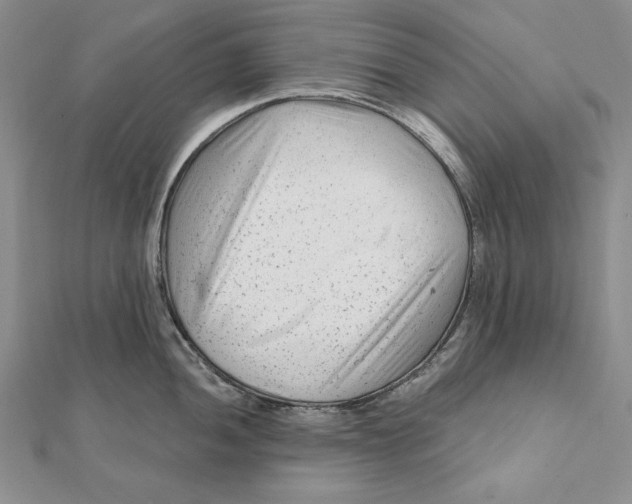 X0000112061052200908251016