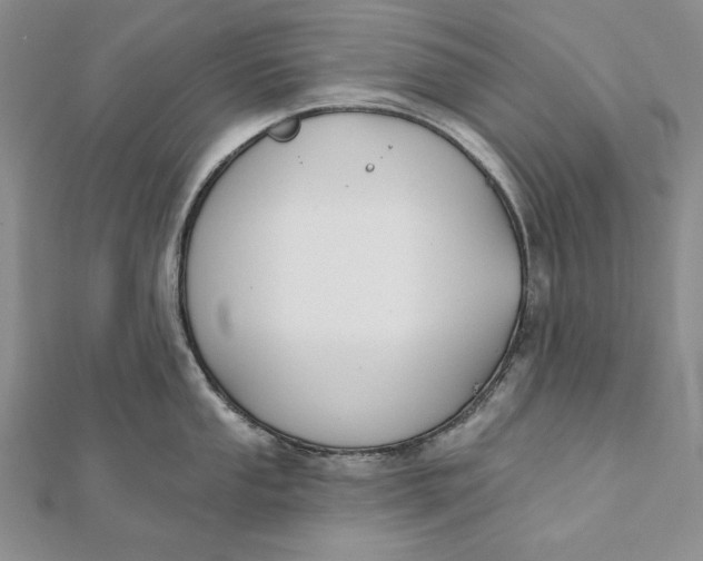 X0000112061053200908251016