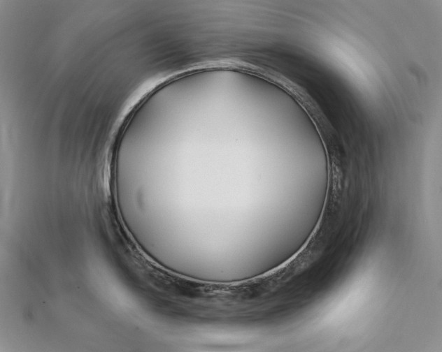 X0000112061054200908251016