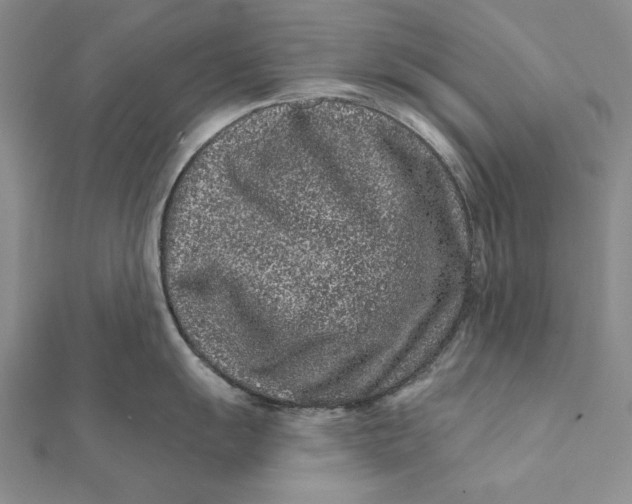 X0000112061055200908251016