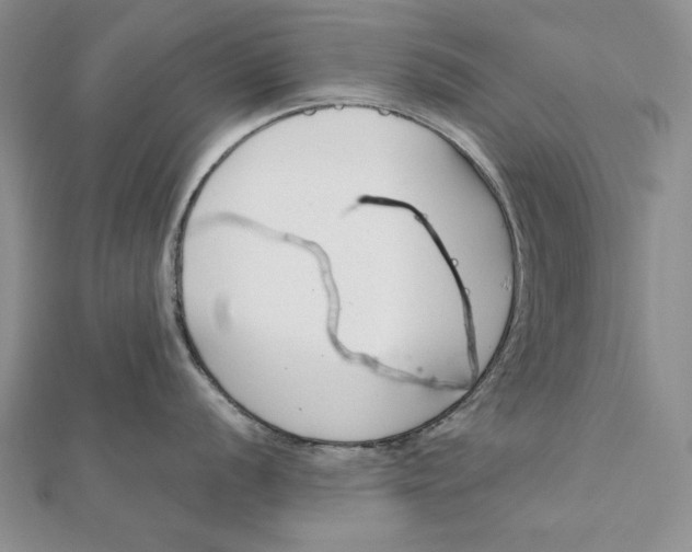 X0000112061056200908251016