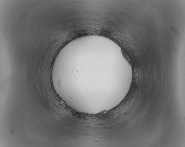 X0000112061057200908251016