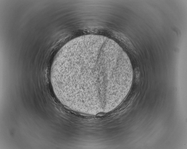 X0000112061060200908251016