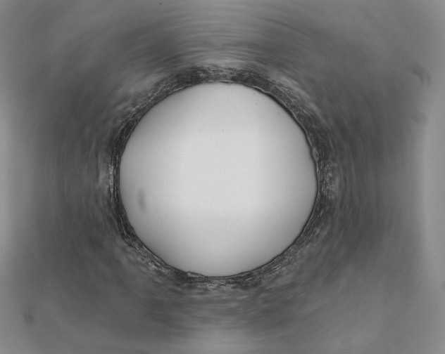 X0000112061061200908251016