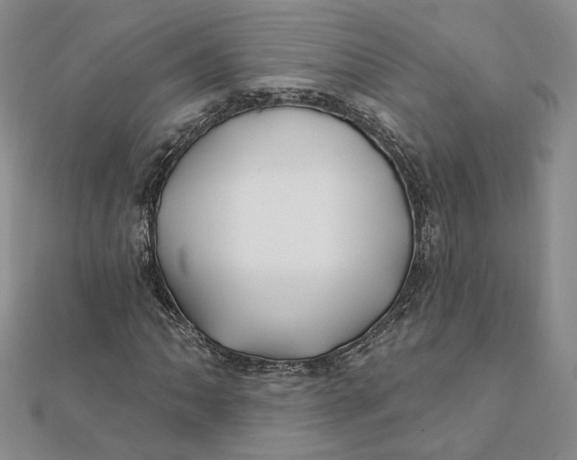 X0000112061062200908251016