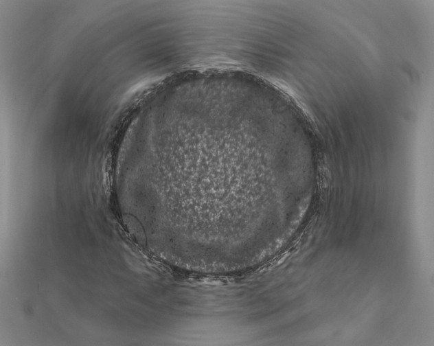 X0000112061063200908251016