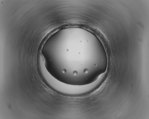 X0000112061065200908251016