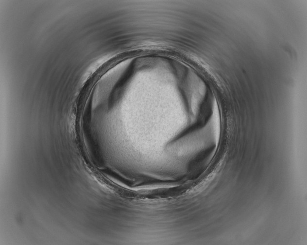 X0000112061066200908251016