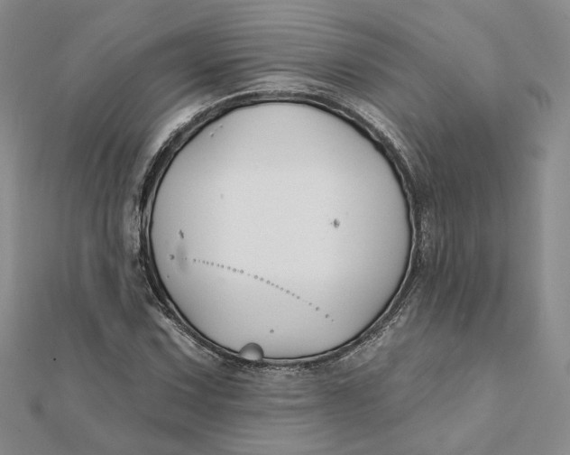 X0000112061067200908251015