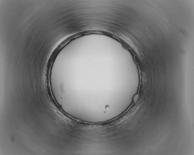 X0000112061068200908251015