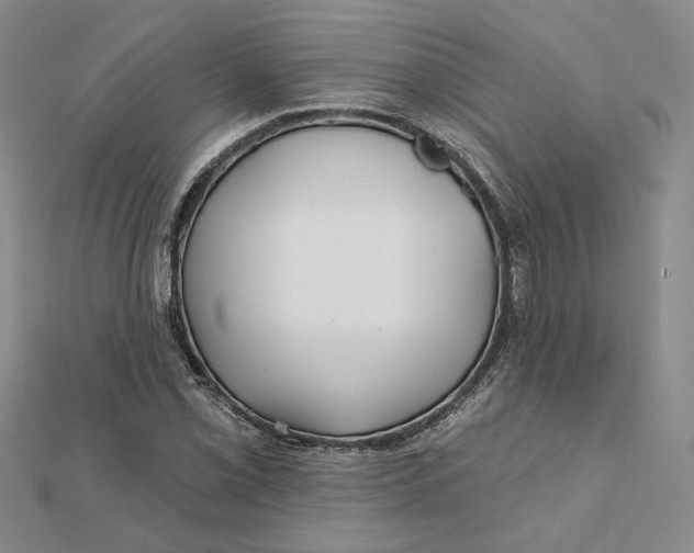 X0000112061069200908251015