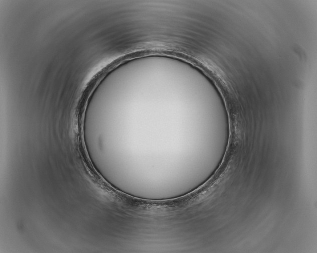 X0000112061070200908251015