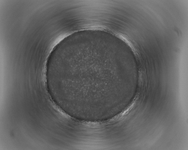 X0000112061071200908251015