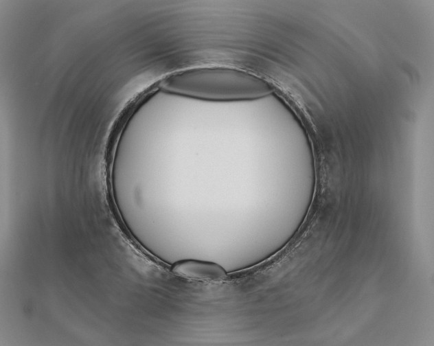 X0000112061072200908251015