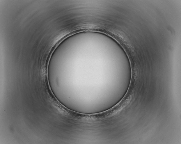 X0000112061073200908251015