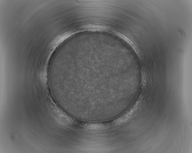 X0000112061074200908251015