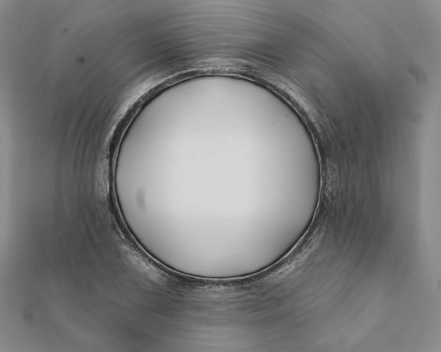 X0000112061075200908251015