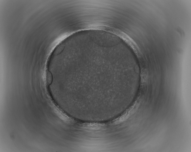 X0000112061077200908251015