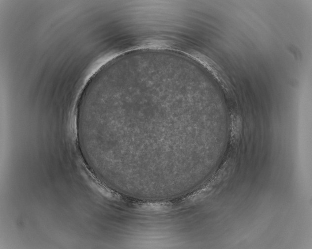 X0000112061078200908251015