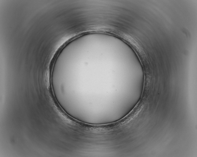 X0000112061079200908251015