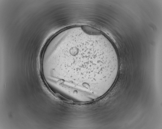 X0000112061080200908251015