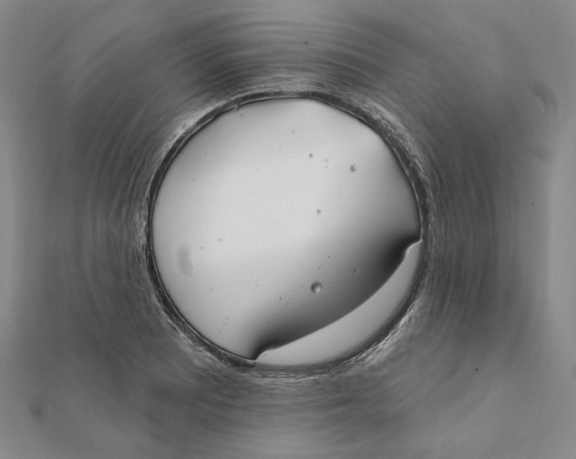 X0000112061081200908251015