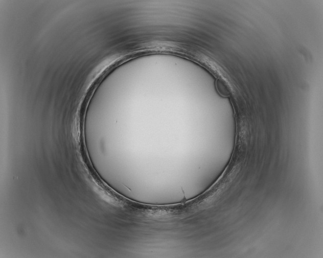 X0000112061082200908251015