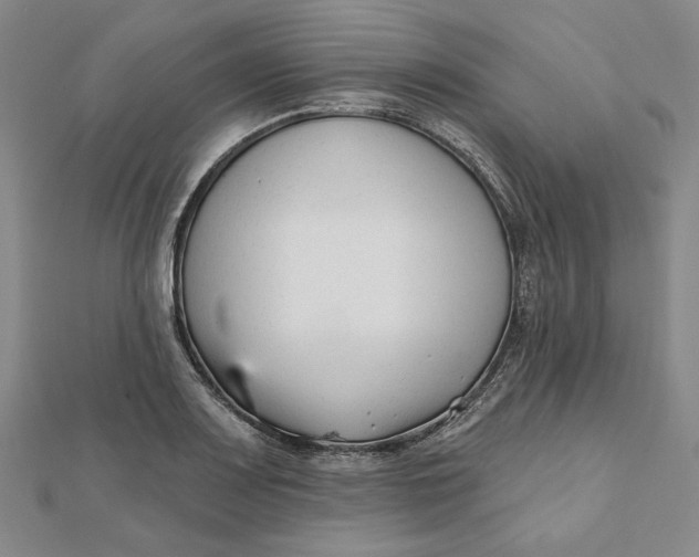 X0000112061083200908251015