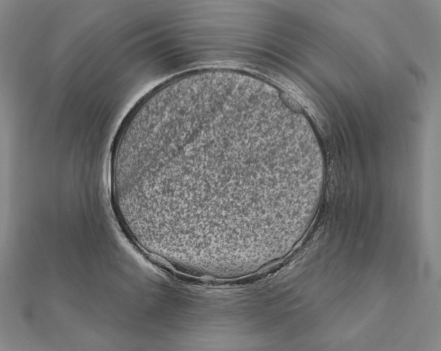 X0000112061084200908251015