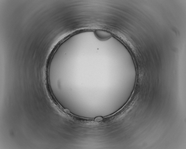 X0000112061085200908251015