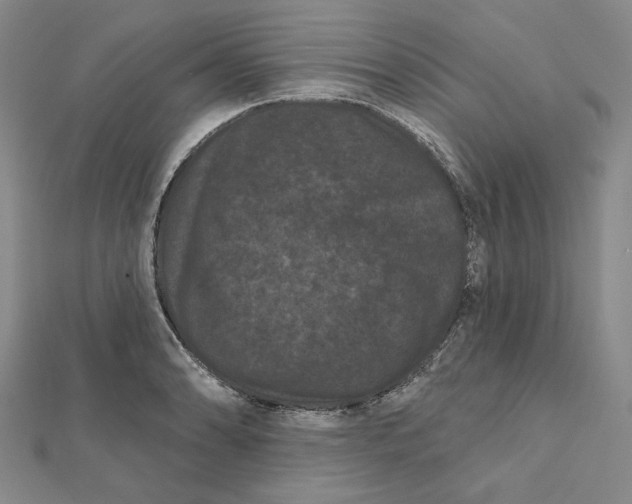 X0000112061086200908251015