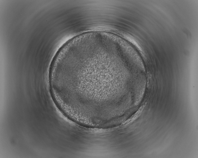 X0000112061087200908251015