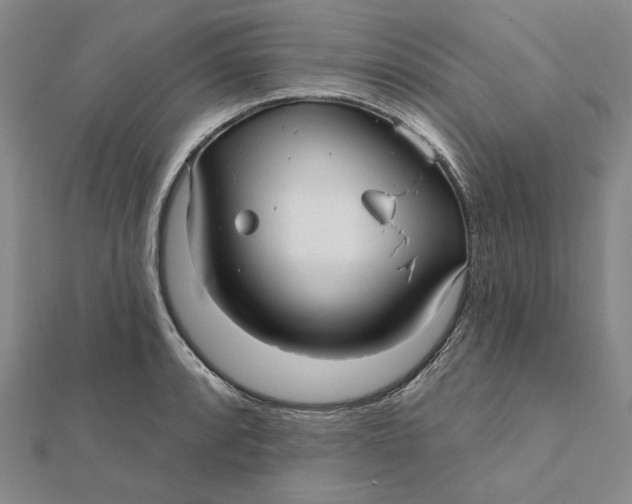 X0000112061088200908251015