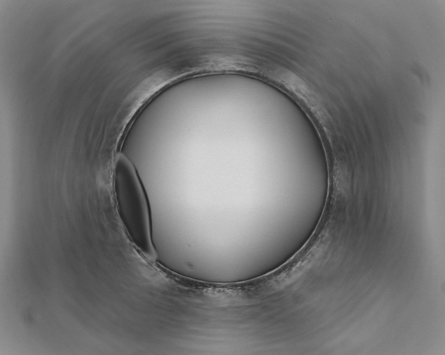 X0000112061089200908251015