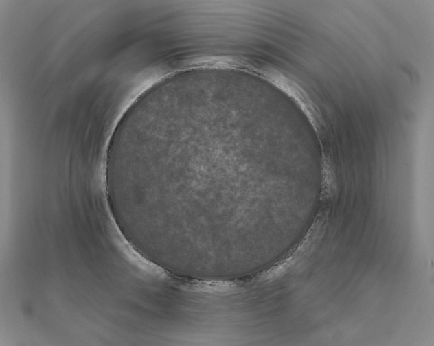 X0000112061090200908251015