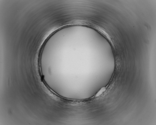 X0000112061091200908251015